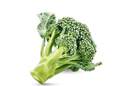 h3-product11 h3-product11