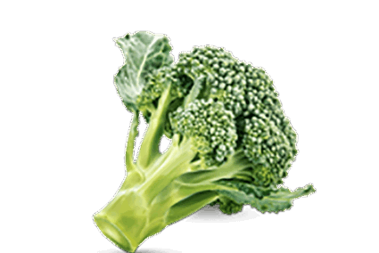 h3-product11 h3-product11