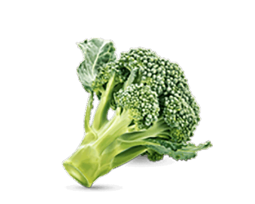 h3-product11 h3-product11