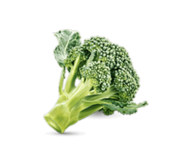 h3-product11 h3-product11