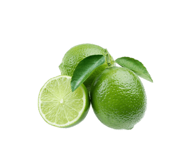 h3-product12 h3-product12