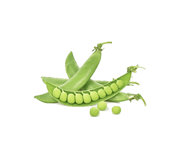 h3-product7 h3-product7