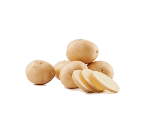 h3-product8 h3-product8