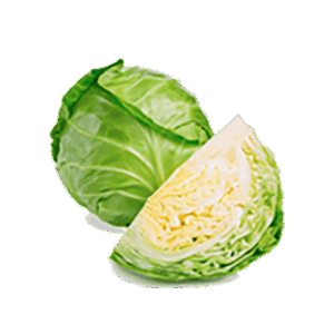 Organic Cabbage
