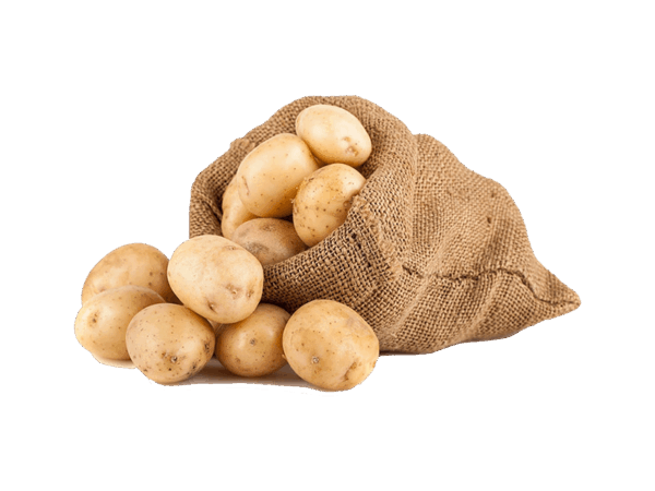 h8-product2 h8-product2